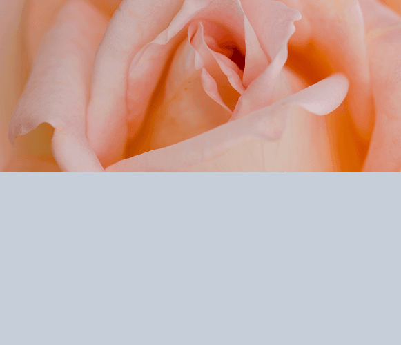 clitoral